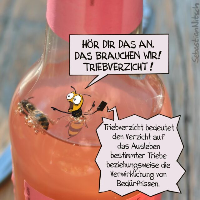 Späte Erkenntnis. #wespe #selbsterkenntnis #verzicht #cartoon #biergarten #illustration #limo #sommer #selbstgemacht #naturerleben
